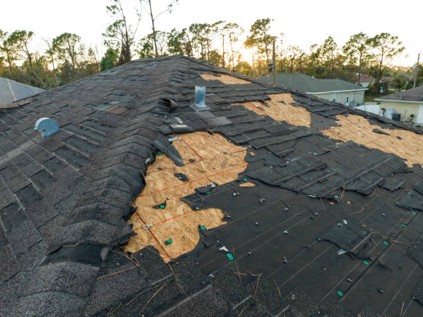 Best Roof Ventilation Installation  in Elyria, OH